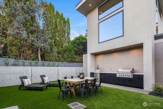 view of yard featuring an outdoor kitchen