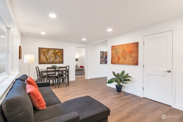 living room with wood-type flooring