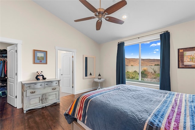 bedroom with a ceiling fan, dark wood finished floors, a closet, lofted ceiling, and a spacious closet