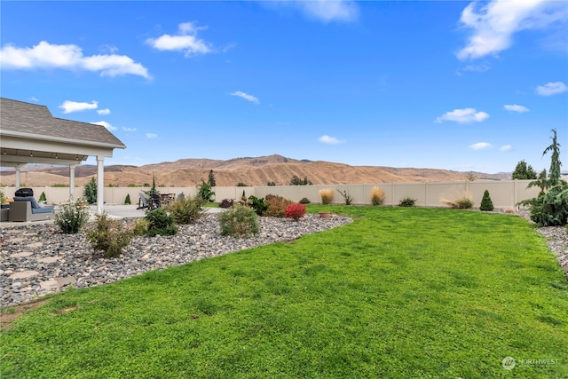 view of yard featuring a patio area, a mountain view, and a fenced backyard