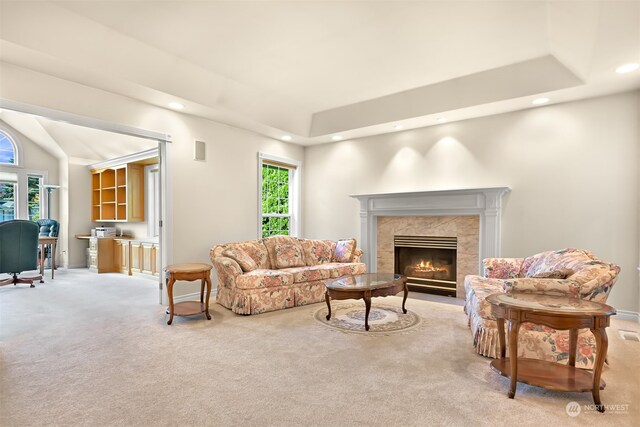 carpeted living room featuring a raised ceiling and a wealth of natural light