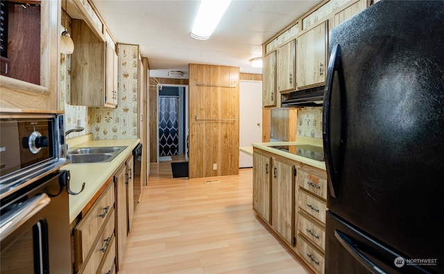 kitchen featuring light wood-type flooring, black appliances, and sink