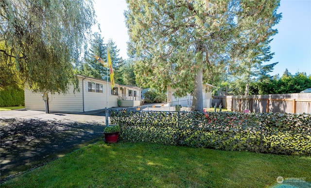 view of yard featuring a patio area