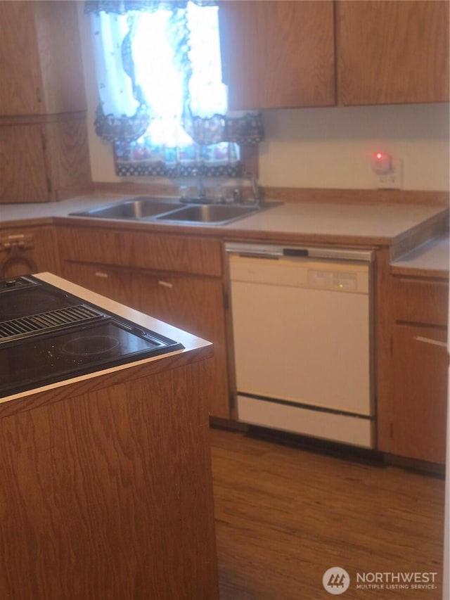 kitchen featuring black electric stovetop, light countertops, a sink, wood finished floors, and dishwasher