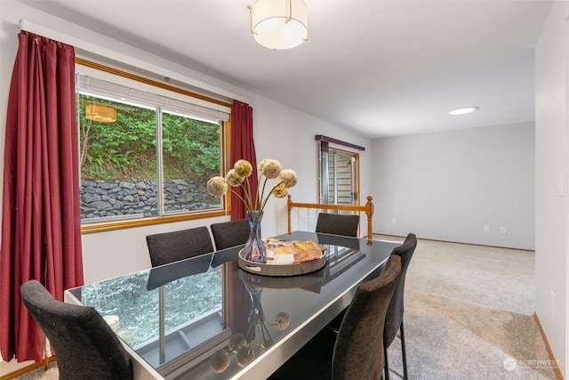 dining area featuring carpet