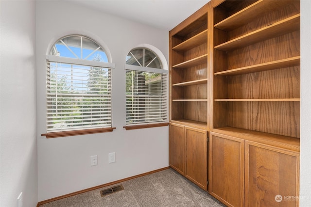 empty room with light carpet and plenty of natural light