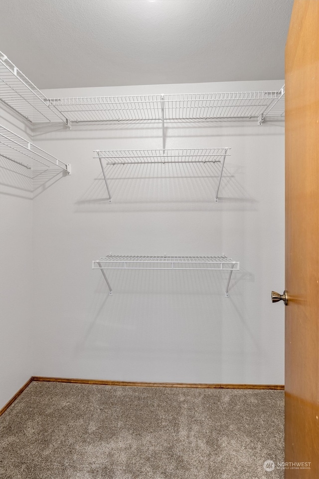 walk in closet with carpet