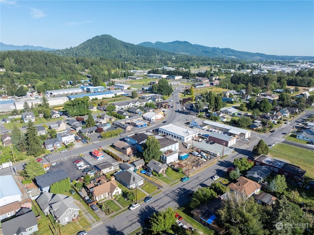 bird's eye view with a mountain view