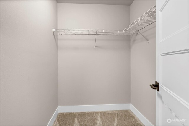 walk in closet with carpet floors