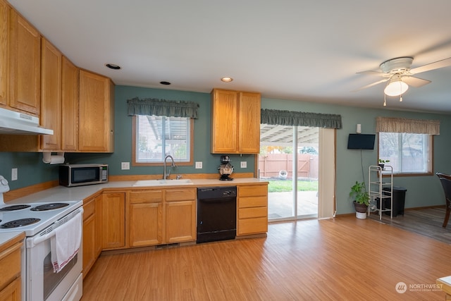 kitchen featuring dishwasher, sink, electric range, and a wealth of natural light