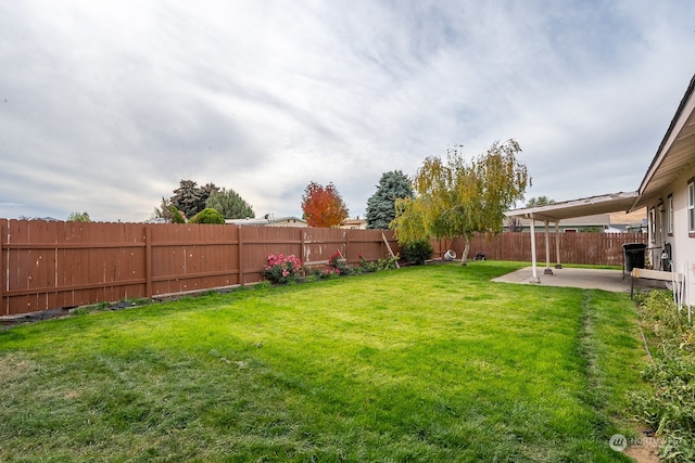 view of yard featuring a patio