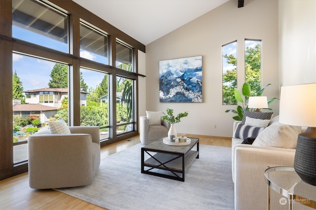 living room with light wood-type flooring and high vaulted ceiling