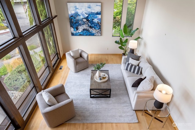 living room featuring light hardwood / wood-style flooring