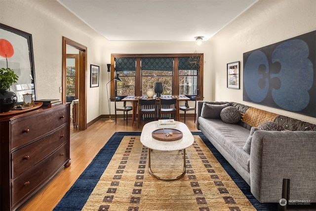 living room with hardwood / wood-style flooring and plenty of natural light