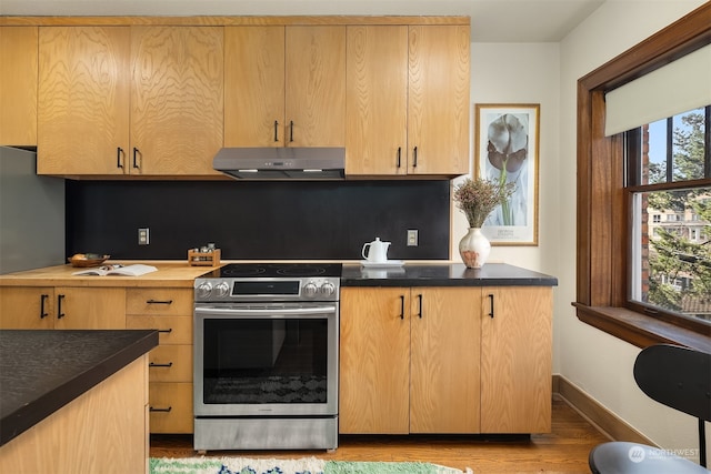 kitchen featuring light brown cabinets, stainless steel electric stove, and light hardwood / wood-style floors