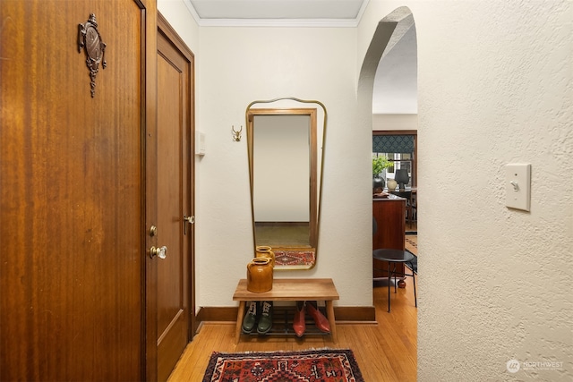 hall with crown molding and light hardwood / wood-style floors