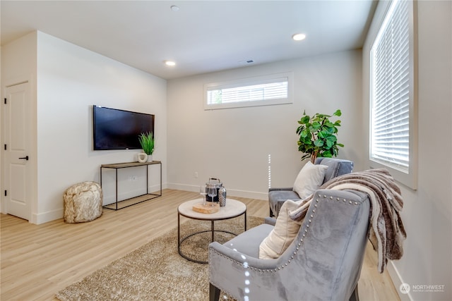 living room with wood-type flooring and a healthy amount of sunlight