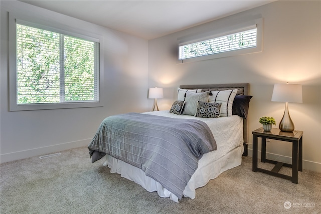 bedroom featuring multiple windows and carpet floors