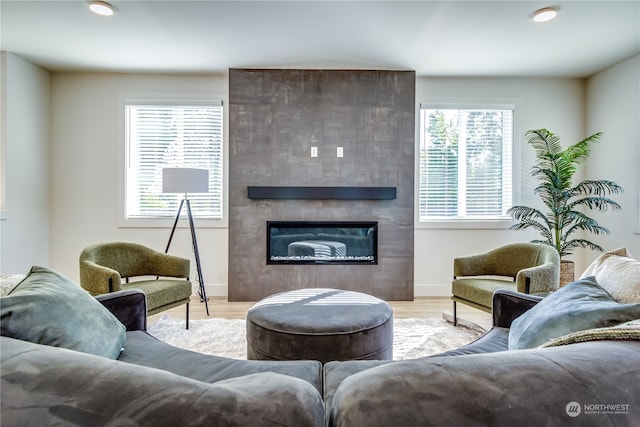 living room featuring light wood-type flooring, a fireplace, and plenty of natural light