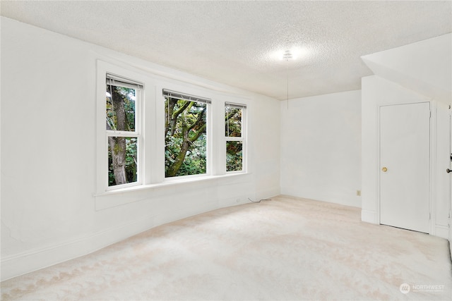 unfurnished room featuring light colored carpet and a textured ceiling