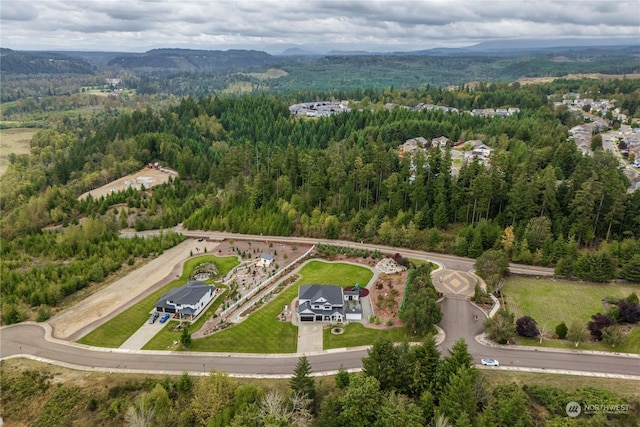 drone / aerial view featuring a mountain view