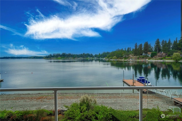 13140 Country Club Dr SW Unit 203, Lakewood, WA 98498 - photo 5