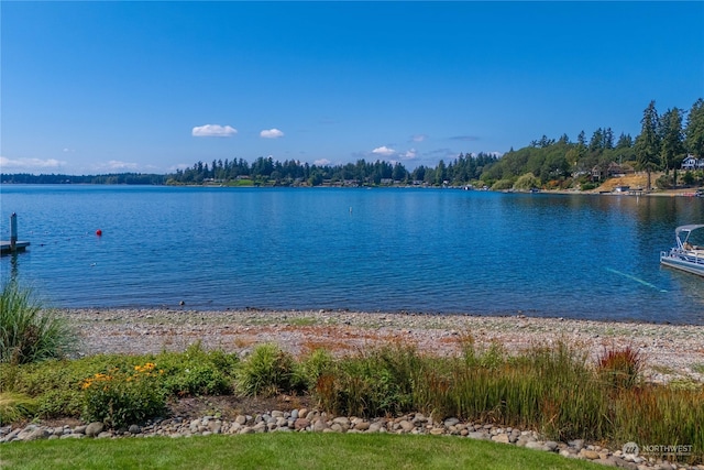 13140 Country Club Dr SW Unit 203, Lakewood, WA 98498 - photo 33