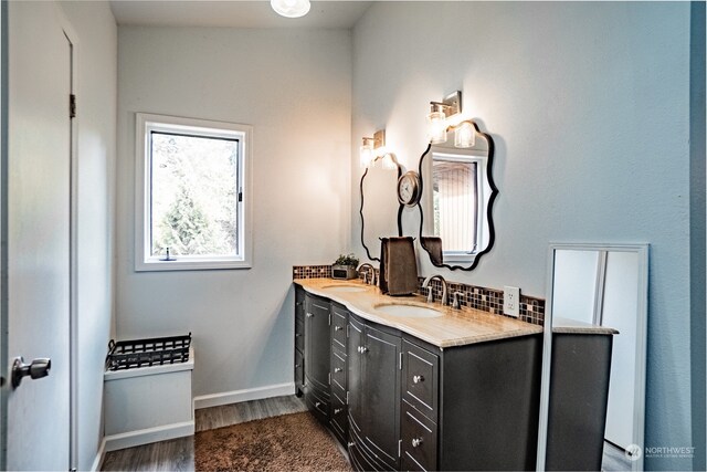 bathroom featuring tasteful backsplash, vanity, and wood-type flooring