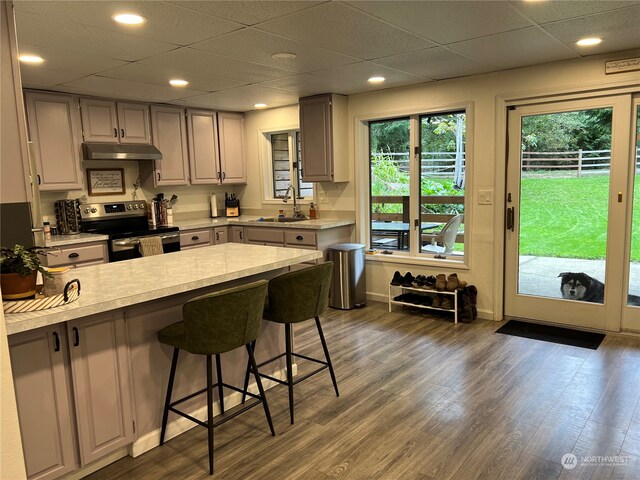 kitchen featuring sink, dark hardwood / wood-style flooring, stainless steel electric range, a kitchen bar, and gray cabinets