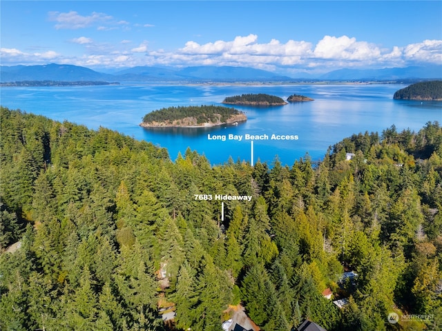 drone / aerial view with a water and mountain view