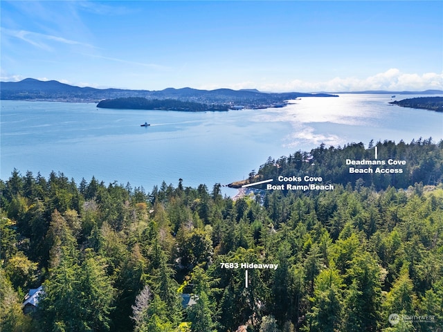 drone / aerial view featuring a water and mountain view