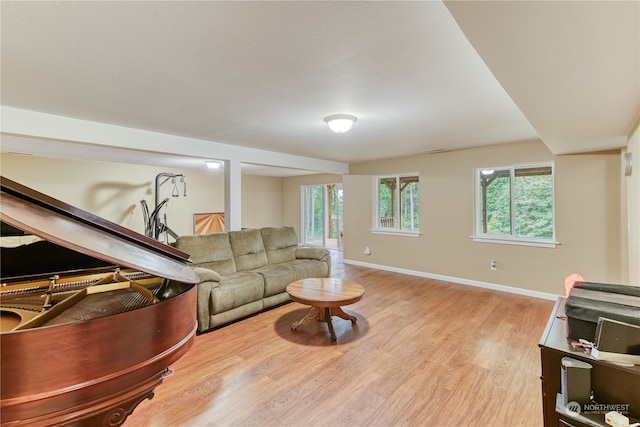 living room with light hardwood / wood-style floors