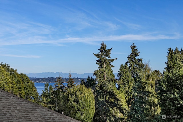 property view of water featuring a mountain view