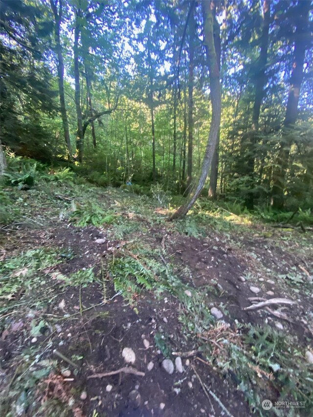 20335 SE 8th St, Sammamish, WA 98074