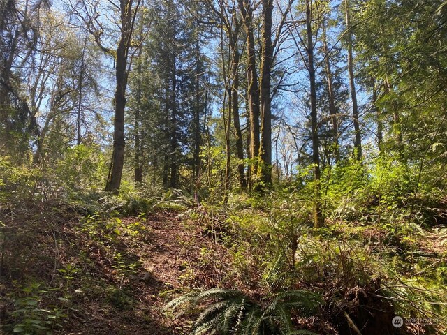20335 SE 8th St, Sammamish, WA 98074