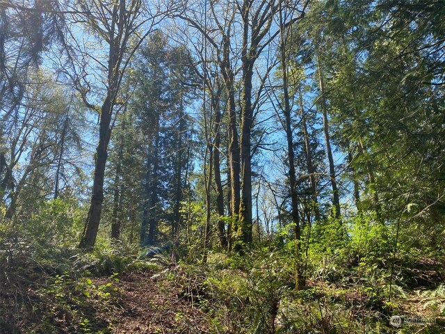 20335 SE 8th St, Sammamish, WA 98074