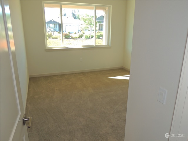 unfurnished room featuring carpet flooring