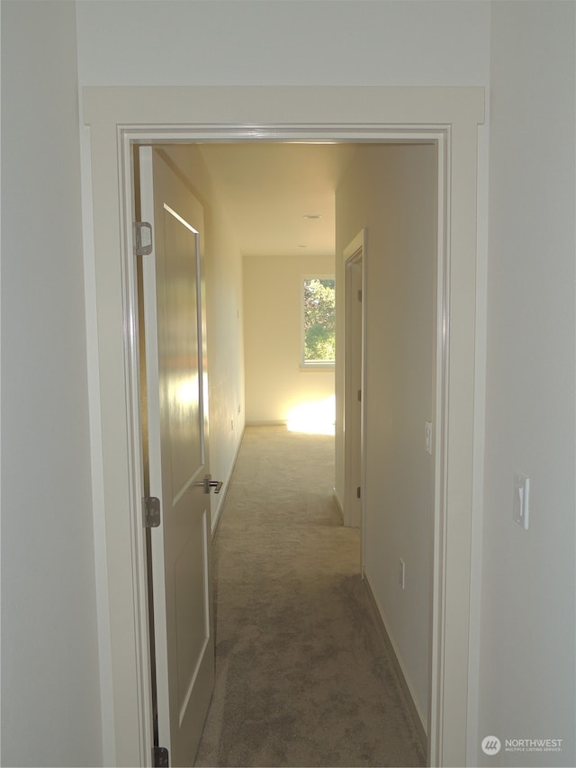 hall featuring carpet flooring