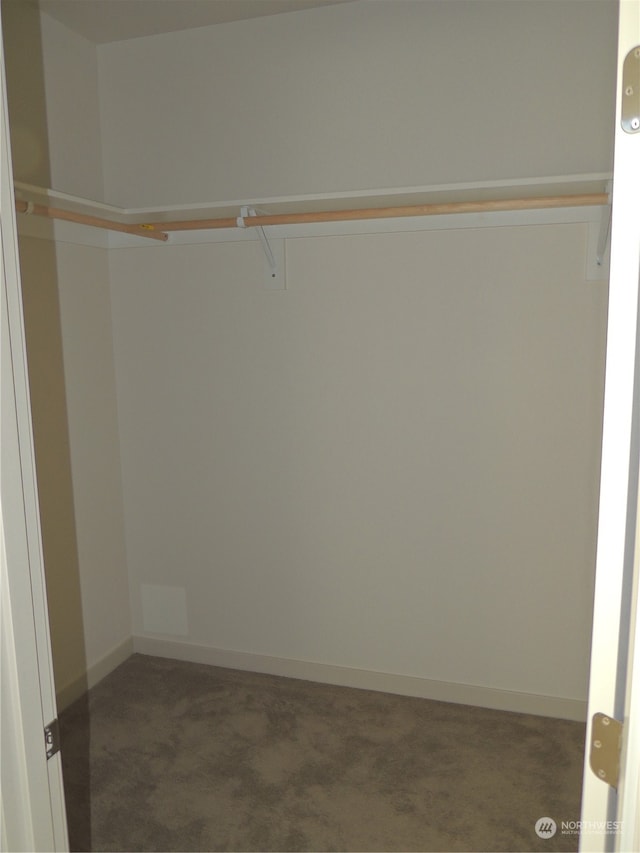 spacious closet with dark colored carpet