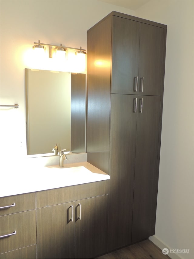 bathroom featuring hardwood / wood-style flooring and vanity