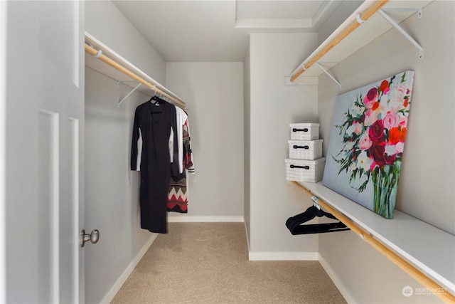 walk in closet featuring light colored carpet