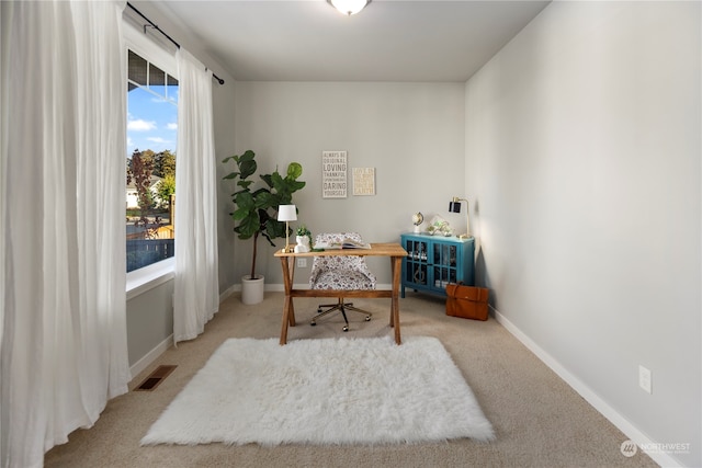 sitting room featuring carpet