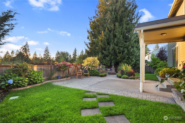 view of yard with a patio