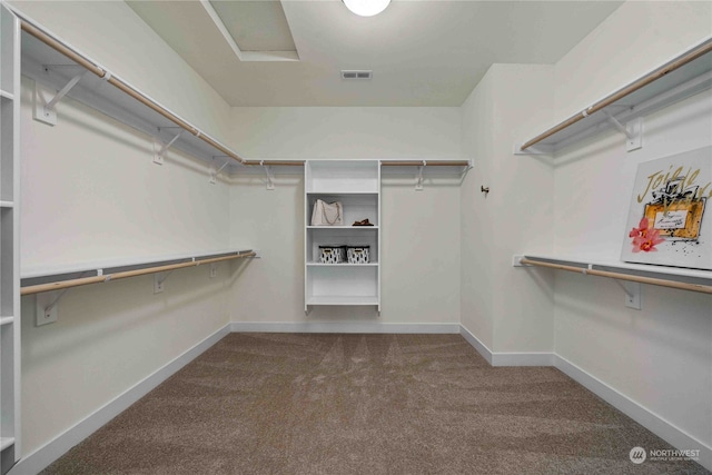 walk in closet featuring carpet