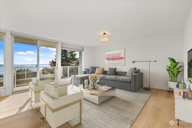 living room featuring light hardwood / wood-style floors and a water view