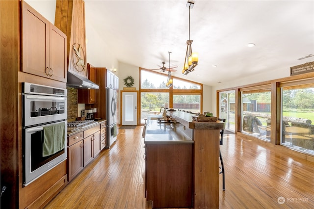 kitchen featuring a wealth of natural light, lofted ceiling, appliances with stainless steel finishes, and hanging light fixtures