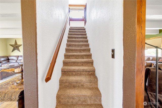 stairway featuring wood-type flooring