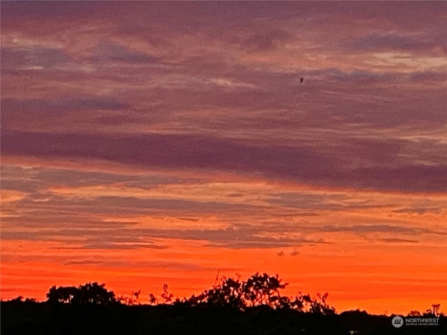 view of nature at dusk