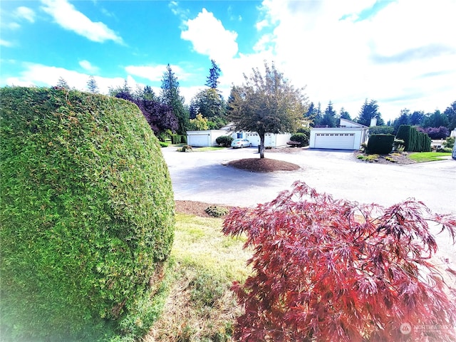 view of road featuring driveway