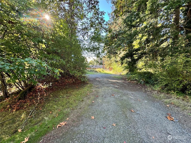 15820 62nd Ave NW, Gig Harbor, WA 98332 - photo 3